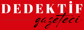 Dedektif Gazeteci